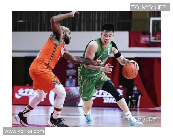 2013至2014赛季CBA辽宁队与福建队精彩对决回顾与分析